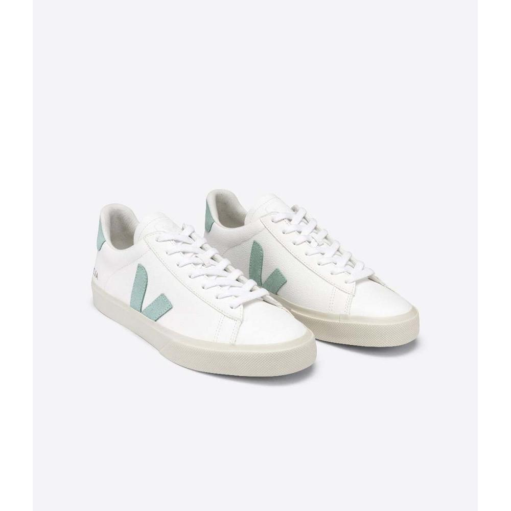 Low Tops Sneakers Barbati Veja CAMPO CHROMEFREE White/Mint | RO 295RVD